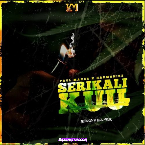 Paul Maker – Serikali Kuu Ft. Harmonize Mp3 Download