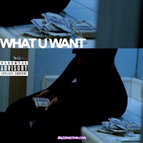 Caleborate - What U Want Mp3 Download