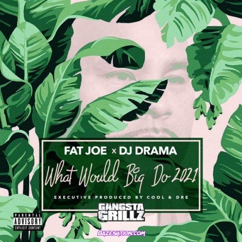 Fat Joe, DJ Drama & Cool & Dre – What Would Big Do 2021 Download Album Zip