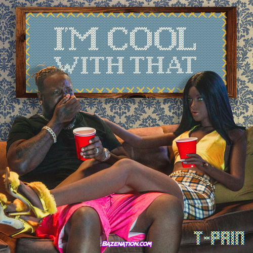 T-Pain - I'm Cool With That Mp3 Download