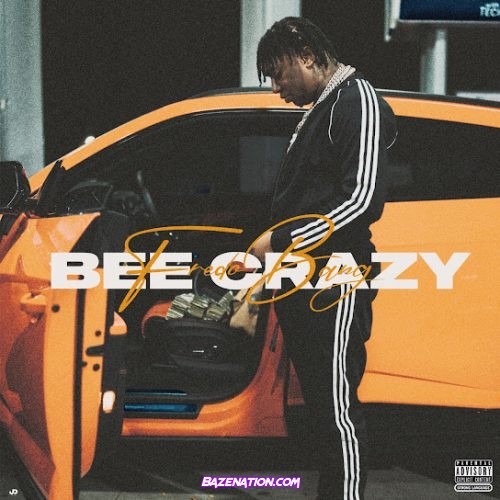 Fredo Bang – Bee Crazy Mp3 Download