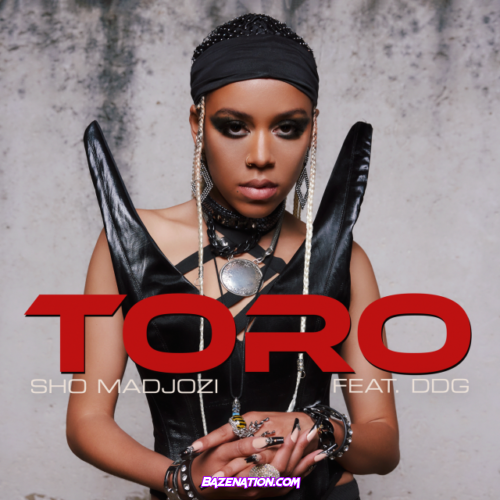 Sho Madjozi – Toro (feat. DDG) Mp3 Download