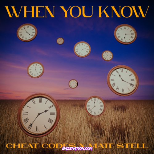 Cheat Codes & Matt Stell – When You Know Mp3 Download