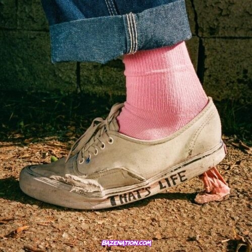 FIDLAR – That’s Life Ep Download