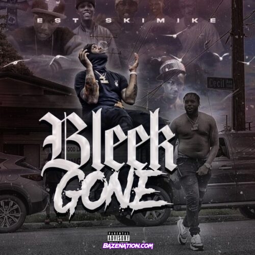 EST SkiMike – Bleek Gone