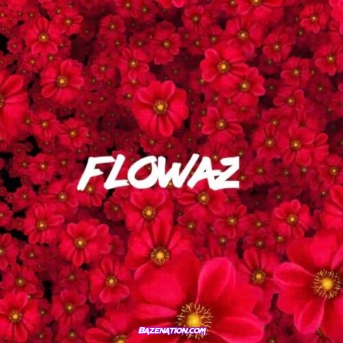 Skillibeng - Flowaz