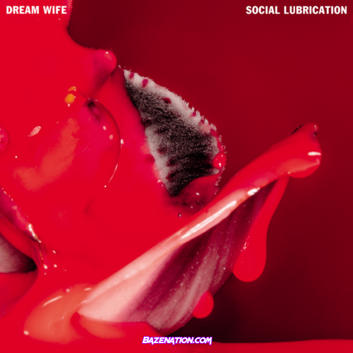 Dream Wife – Social Lubrication Album Download