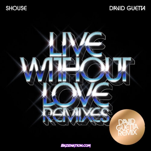 Shouse - Live Without Love (David Guetta Remix - Edit) (feat. David Guetta)