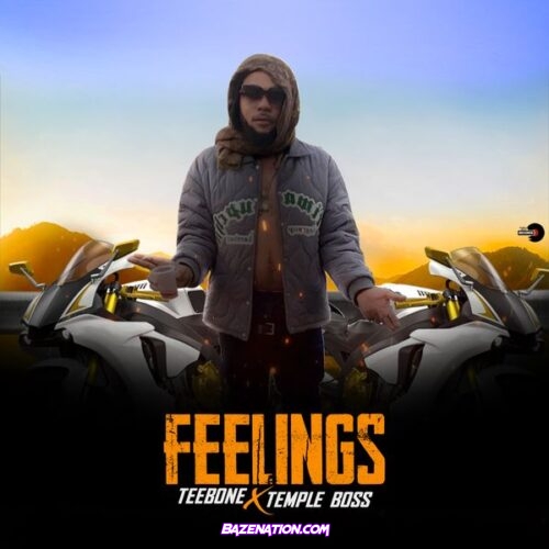 Teebone - Feelings (feat. Templeboss)