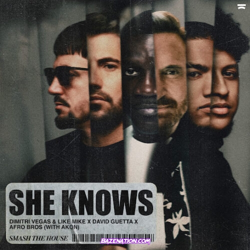 Dimitri Vegas - She Knows (With Akon) (feat. Like Mike, David Guetta, Afro bros & And Akon)