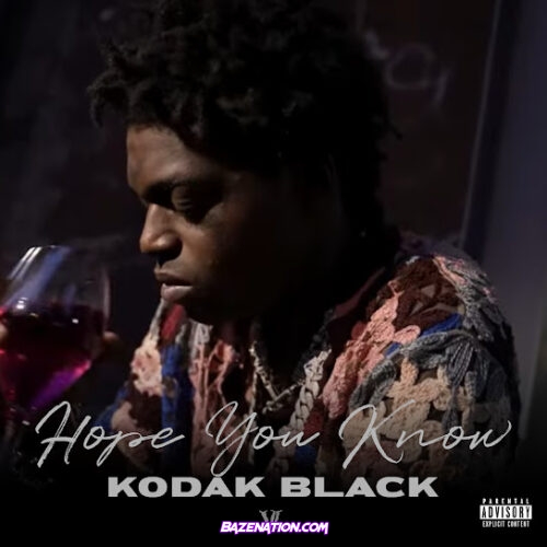 Kodak Black - Hope You Know