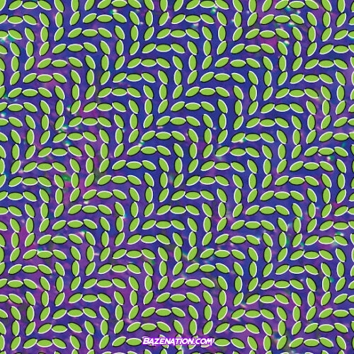 Animal Collective - Summertime Clothes