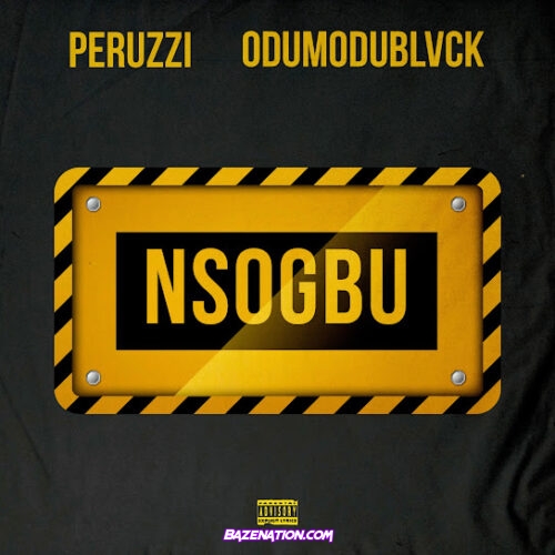 Peruzzi - Nsogbu (feat. Odumodublvck)