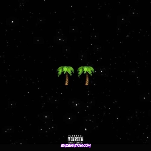 Show Dem Camp – Malibu & Palmwine (feat. Worlasi)