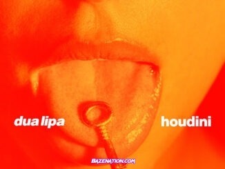 Dua Lipa - Houdini (Danny L Harle Slowride Mix)