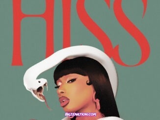 Megan Thee Stallion - HISS