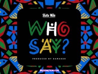 Shatta Wale - Who Say