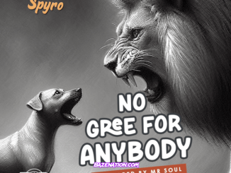 Spyro - No Gree For Anybody (NGFA)