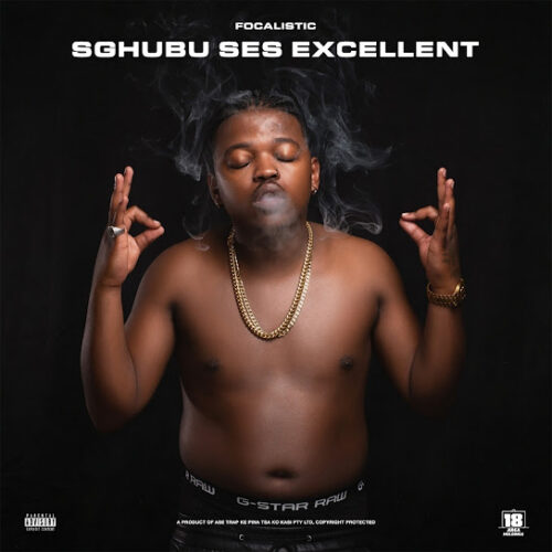 Focalistic Sghubu Ses Excellent MP3 Download