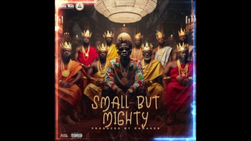 Shatta Wale - Small But Mighty