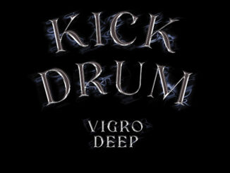 Vigro Deep - Kick Drum (feat. Junior Taurus)