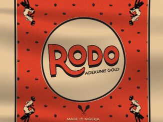 Adekunle Gold - Rodo