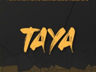 D'banj – Taya ft. Zlatan, Timaya, BhadBoi OML, Kayswitch & Specikinging