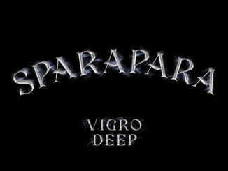 Vigro Deep - Sparapara Ft. Focalistic, Ch'cco & M.J