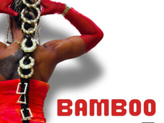 B.o.B - Bamboo