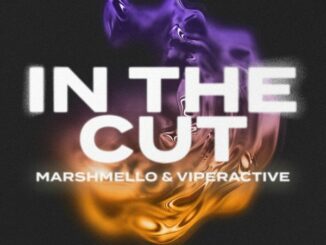 Marshmello - In The Cut Ft. Viperactive