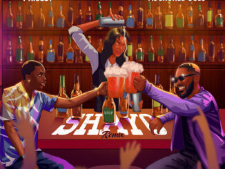 Priesst - Shayo (feat. Adekunle Gold & Adekunle Gold) (Remix)