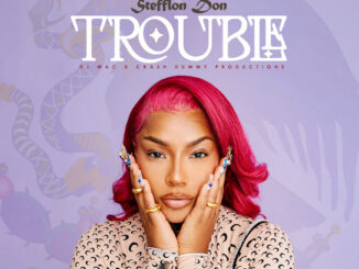 Stefflon Don - Trouble (feat. DJ MAC & CrashDummy)