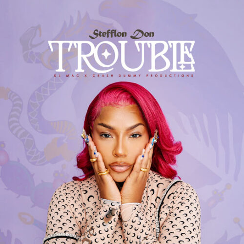 Stefflon Don - Trouble (feat. DJ MAC & CrashDummy)